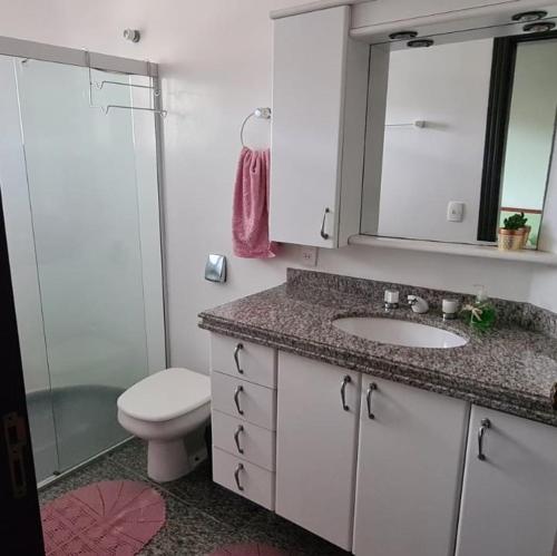 a bathroom with a sink and a toilet and a mirror at Suíte Theo in Blumenau