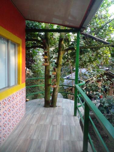 a balcony with a tree on the side of a house at montecarlos hotel in Ibagué