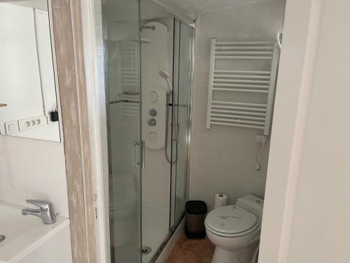 ein Bad mit einem WC und einer Glasdusche in der Unterkunft relais des tourterelles in La Neuville-aux-Joûtes