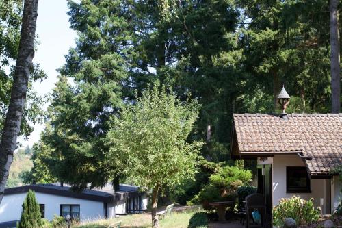 a house with a tree in the yard at Haus am Wald in Eltmann