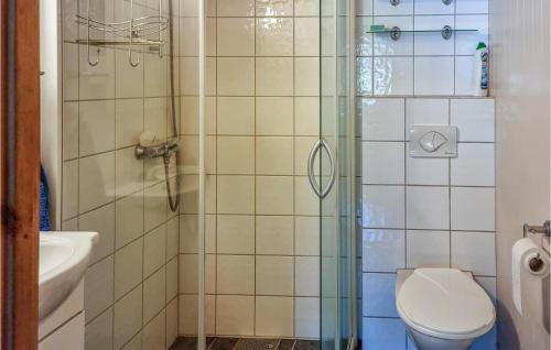 a bathroom with a shower with a toilet and a sink at Amazing Apartment In Lindesnes With Wifi in Tryland