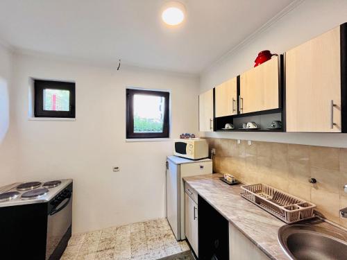 una cocina con fregadero y encimera en Apartment Viktorija, en Užice