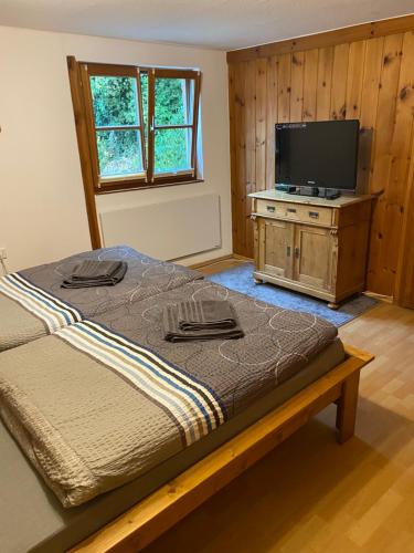 Schlafzimmer mit einem Bett und einem Flachbild-TV in der Unterkunft Ferienhaus zum Ulfenbachtal in Wald-Michelbach