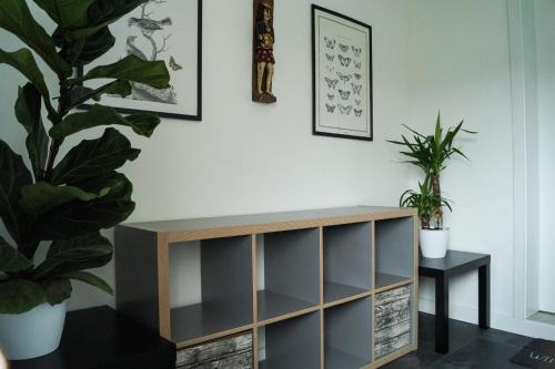 a living room with a cabinet and two potted plants at Wohlfühlen am Großen Goitzschesee in Holzweißig
