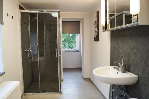 W łazience znajduje się prysznic i umywalka. w obiekcie Wohlfühlen am Großen Goitzschesee inkl. Netflix w mieście Holzweißig