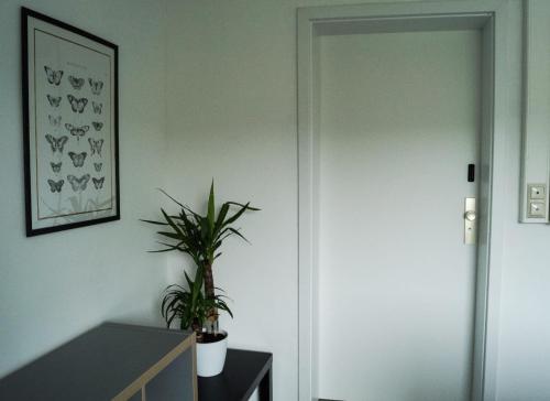 a door with a plant in a room at Wohlfühlen am Großen Goitzschesee in Holzweißig