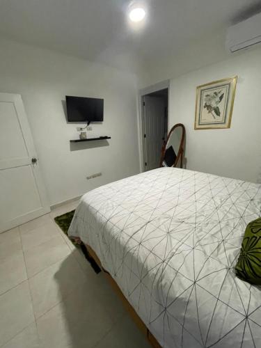 a bedroom with a bed and a tv on the wall at hospedaje de marant 3 in San Felipe de Puerto Plata