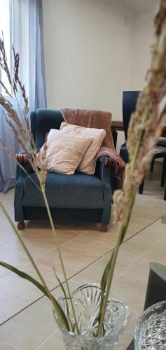 a blue couch with a pillow in a living room at Family house Utjeha in Bar