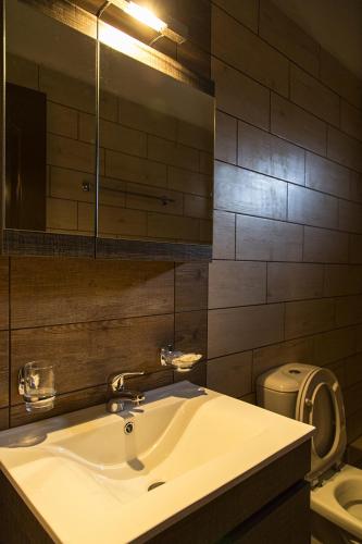 a bathroom with a sink and a mirror and a toilet at Giataki in Elati Trikalon