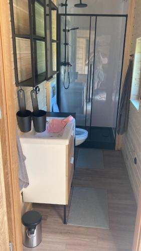 a small bathroom with a toilet and a sink at Ostoja Leśniewo in Srokowo