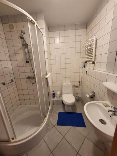 a bathroom with a shower and a toilet and a sink at REZYDENCJA BIELIK in Międzyzdroje