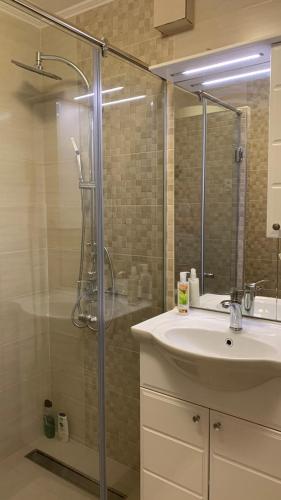 a bathroom with a sink and a glass shower at Apartman Nova Varos in Banja Luka