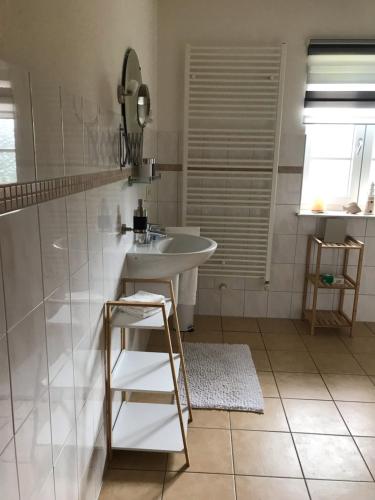 a bathroom with a sink and a mirror and a ladder at Vier Jahreszeiten in Mildstedt
