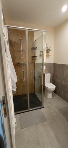 une salle de bain avec douche et toilettes dans l'établissement Maison 1862 - Hébergements d'hôte, à Orsan