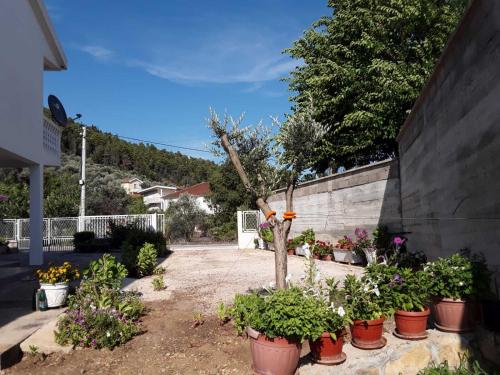 Κήπος έξω από το Apartments Ivana