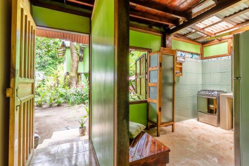 a room with green walls and a kitchen with a stove at casa chilamates in Tortuguero