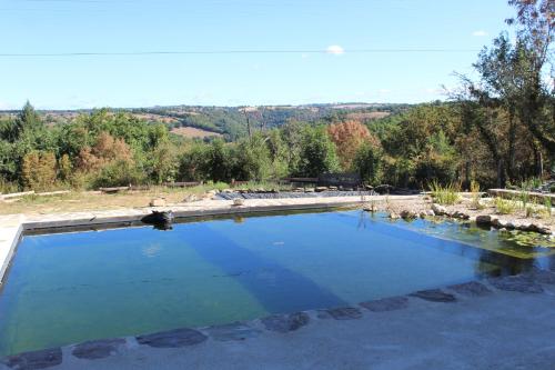 un grand bassin d'eau avec des arbres en arrière-plan dans l'établissement La maison Cayré, à Mirandol-Bourgnounac