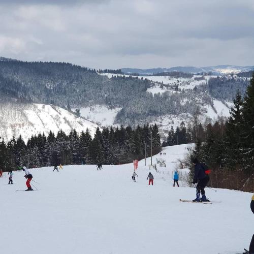 a group of people skiing down a snow covered slope at Apartman Petar in Nova Varoš
