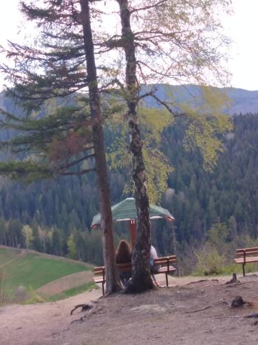 two people sitting on a bench between two trees at Apartman Iva in Nova Varoš