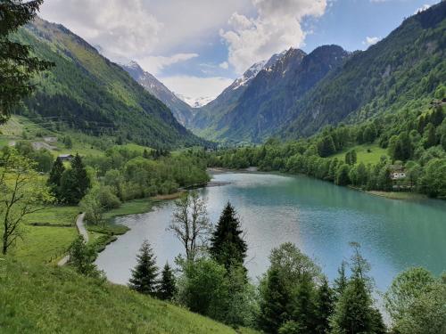 a view of a river in a valley with mountains at Apartment Leontina in Kaprun