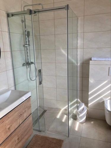 eine Glasdusche in einem Badezimmer mit Toilette in der Unterkunft Tatranec in Lendak