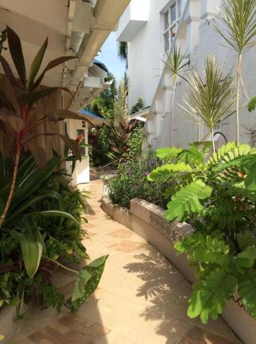 a garden with many plants and a building at Lush Tropical apartment located in a 4-star resort in Runaway Bay