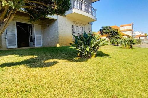 a yard of a house with a plant in the yard at Moradia entre o Mar e a Ria in Gafanha da Nazaré