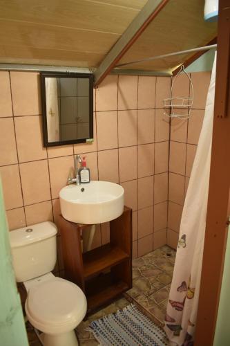 a small bathroom with a toilet and a sink at Casita Tangara con balcón y agua caliente in Drake