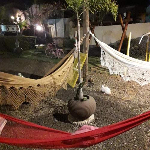 a hammock with a plant in a vase on the ground at Pousada Flores em Vida in Olímpia