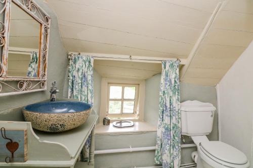 ein Bad mit einem Waschbecken und einem WC in der Unterkunft Elworthy Cottage in Salcombe