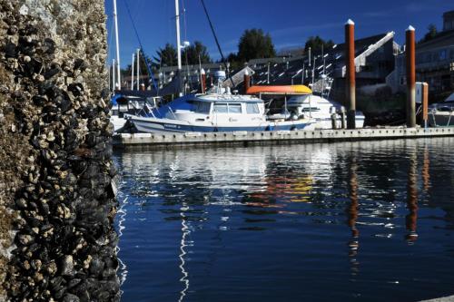 a boat docked at a marina in a harbor at Embarcadero Resort in Newport