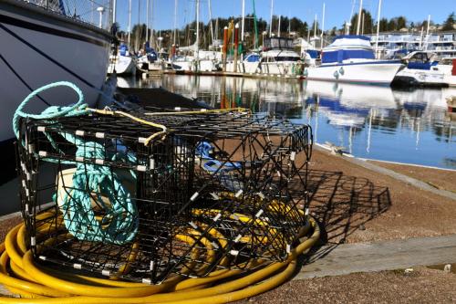 a cage on a yellow hose next to a marina at Embarcadero Resort in Newport