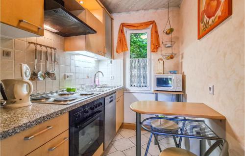 Η κουζίνα ή μικρή κουζίνα στο 1 Bedroom Nice Home In Harzgerode Ot D
