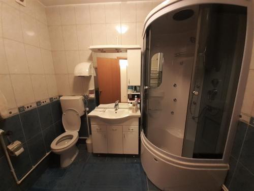 a bathroom with a toilet and a sink and a shower at Apartman Nole 1 in Despotovac