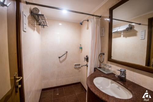 a bathroom with a sink and a mirror and a shower at Hotel Abigail Goradia's in Shirdi