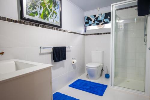 a bathroom with a sink and a toilet and a shower at Tanjil Creek Lodge in Baw Baw Village