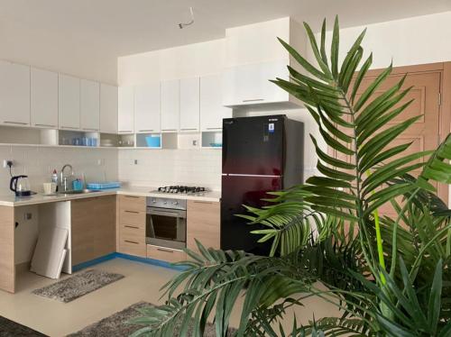 Kuchyň nebo kuchyňský kout v ubytování Apartment Marassi