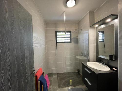 La salle de bains est pourvue d'un lavabo et d'une douche. dans l'établissement Leu Girembelle, à Saint-Leu
