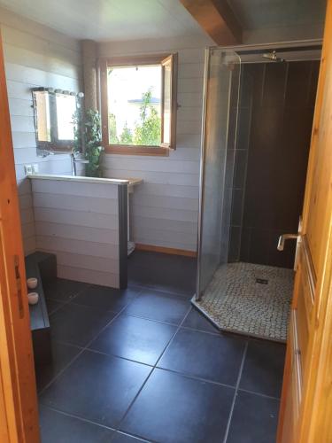 une salle de bain avec douche et lavabo dans l'établissement Chalet au cœur du Val d'Azun, à Arras-en-Lavedan