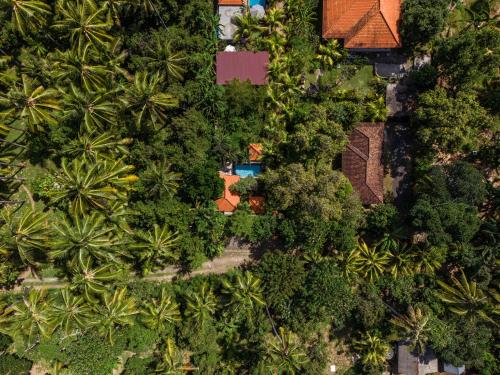 an overhead view of a forest of palm trees and houses at Coco Garden Pool Villas in Kubutambahan