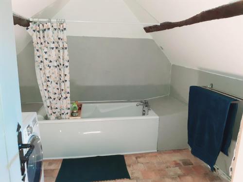 La salle de bains est pourvue d'une baignoire et d'un rideau de douche. dans l'établissement LES AIRES AVOISIENNES, à Avoise