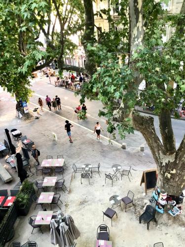 Avignon pedestrian area, charming, 3 persons photo 29