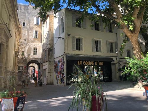 Avignon pedestrian area, charming, 3 persons photo 7