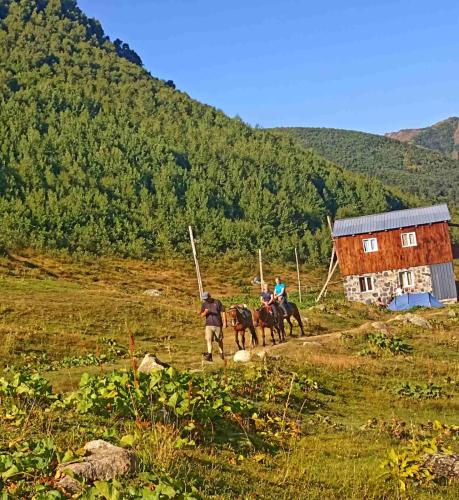 a group of people riding horses in a field at Vila Latphari in Ushguli in Ushguli
