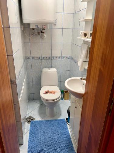 a small bathroom with a toilet and a sink at Gedimino Apartamentai in Juodkrantė
