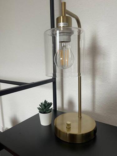a lamp on a table with a plant on it at Modern 4 Zi Rooms Netflix, Wifi, Parken CasaLuna85 in Flöha