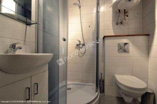een badkamer met een wastafel, een toilet en een douche bij Sosenka Zaniemyśl in Zaniemyśl