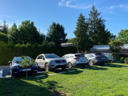 a group of parked cars parked in a yard at Chatka - A - Vyhlídka nad řekou in Zdiby
