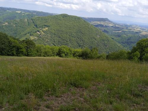 Príroda v okolí dovolenkového domu