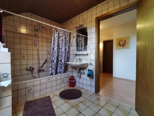 y baño con lavabo y ducha. en Ferienwohnung Nordeifel II en Monschau